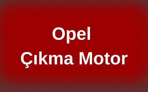 Opel Çıkma Motor