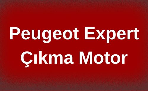 Peugeot Expert Çıkma Motor