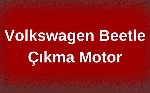 Volkswagen Beetle Çıkma Motor